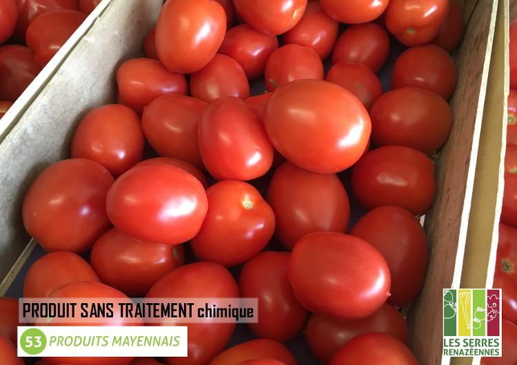 Tomate ROMA de pleine terre - 1kg