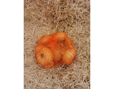 Oignon Paille 1kg cultivé dans le Luberon