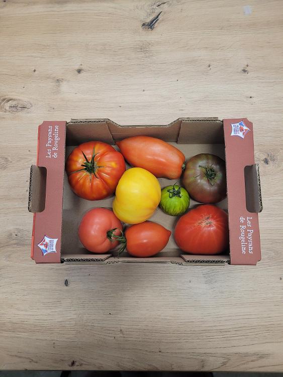 Tomates anciennes 1.5kg cultivées à Montfavet