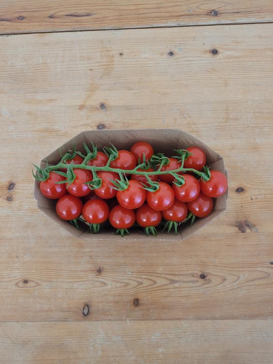 Tomates cerise grappes de Montfavet