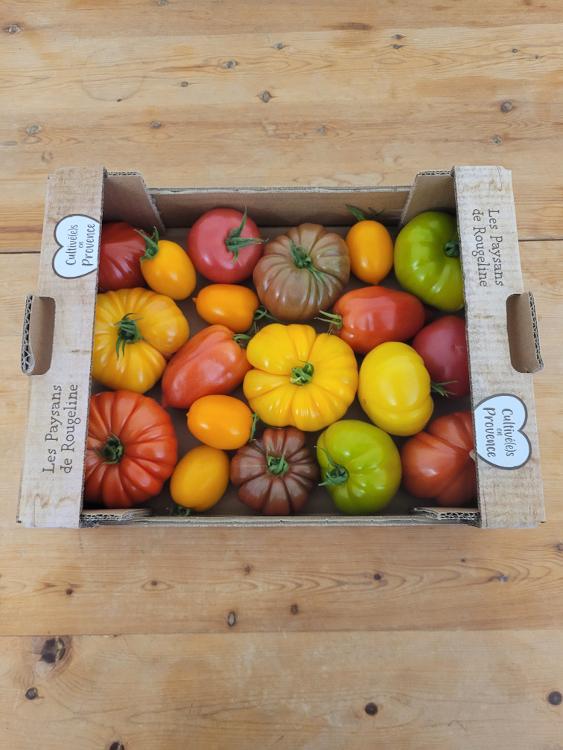 Tomates anciennes cultivées à Avignon