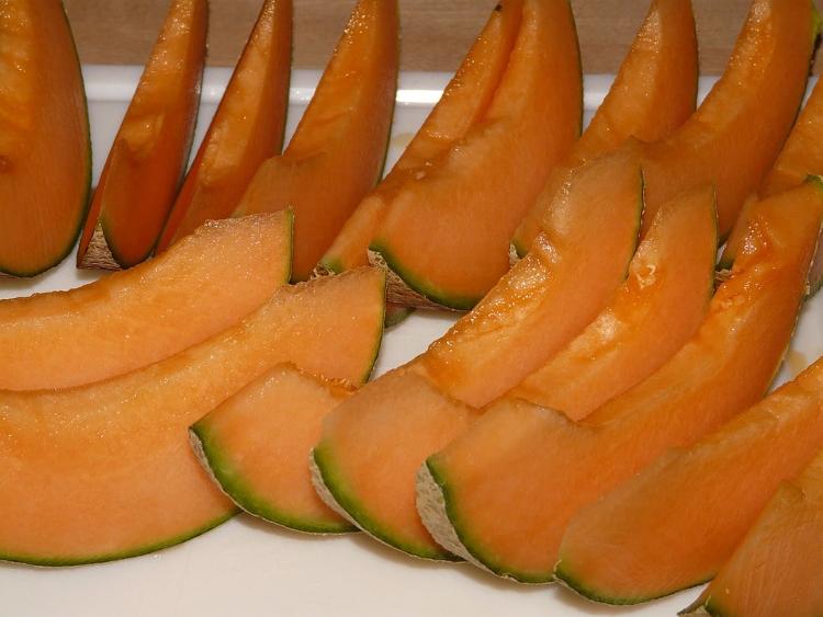 Melon Cultivé à Sarrians