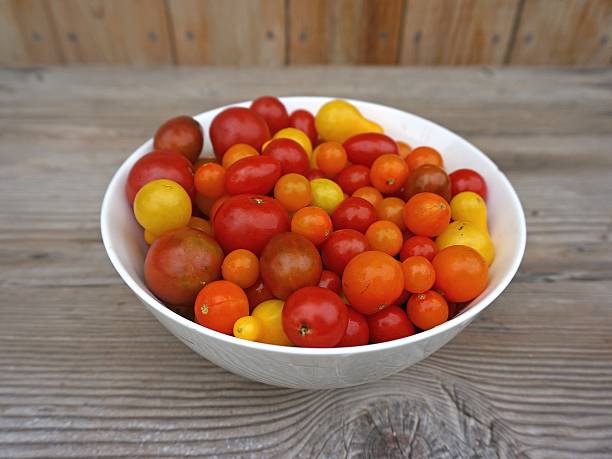 Tomate cerise 1kg cultivée à Montfavet