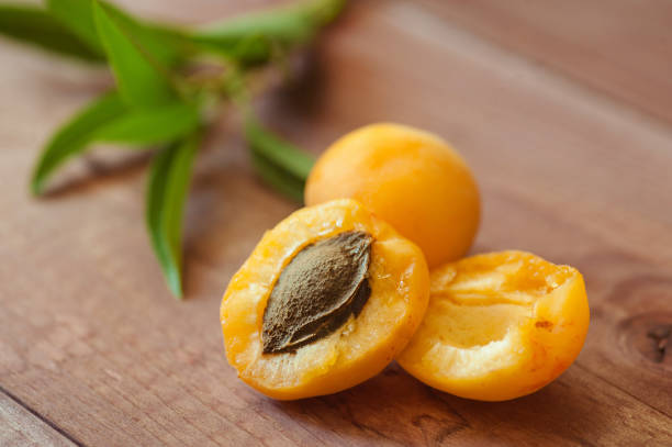 Abricots calibre AA cultivés à Malaucène