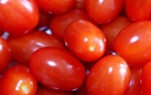 Tomate cerise : olivette (rouge)