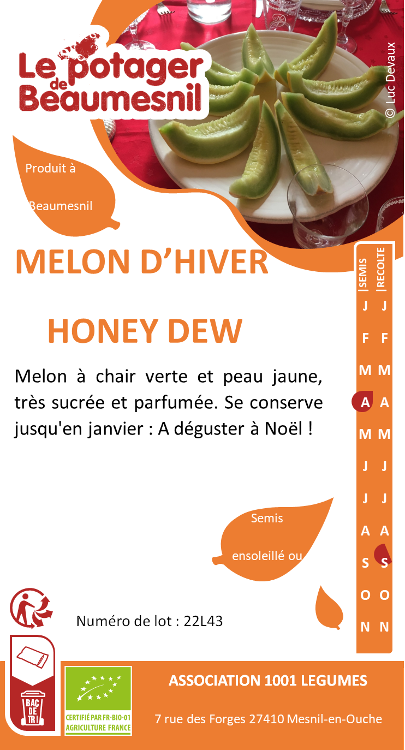 Melon d'hiver Honey Dew
