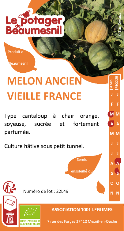 Melon vielle France