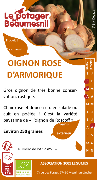 oignon rose d'armorique