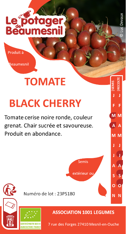 Tomate black cherry