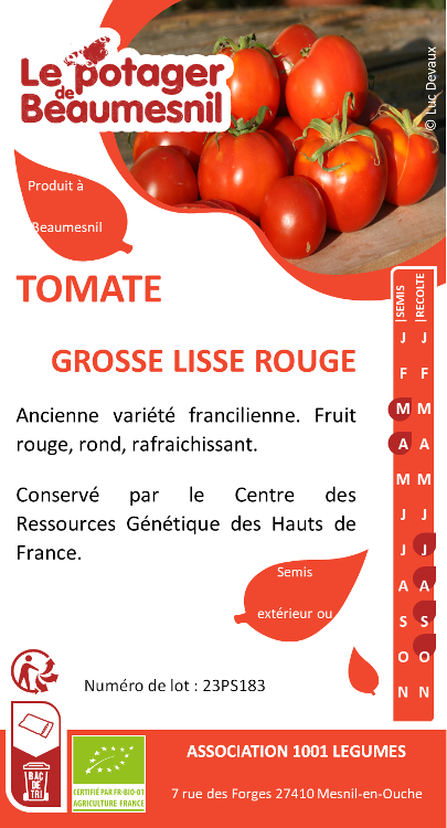 Tomate grosse lisse rouge