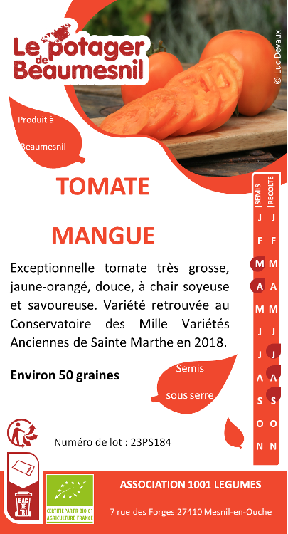 Tomate mangue