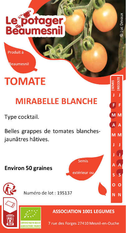 Tomate mirabelle blanche
