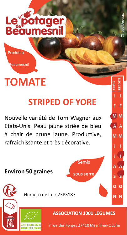 Tomate striped of yore