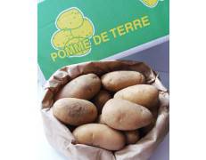Pommes de terre SAMBA 10 kg 