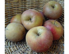 Pommes bio variété  Boskoop 1 kg