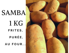 Pommes de terre SAMBA 1 kg