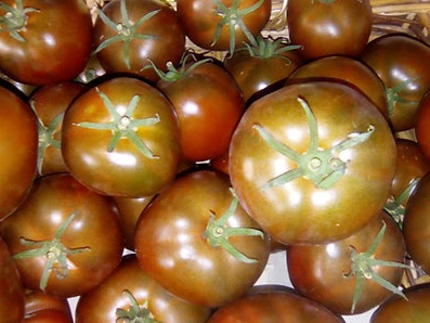 Tomates NOIRE  1kg - Jardin de la Molière-SARL Les Jardins de la Molière- retiré