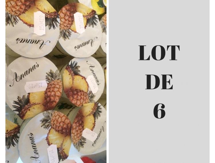 Lot de 6 yaourts ananas - Jardin de la Molière