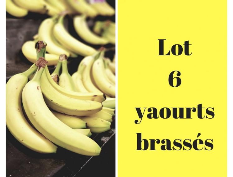Lot de 6 yaourt banane - Jardin de la Molière-SARL Les Jardins de la Molière- retiré