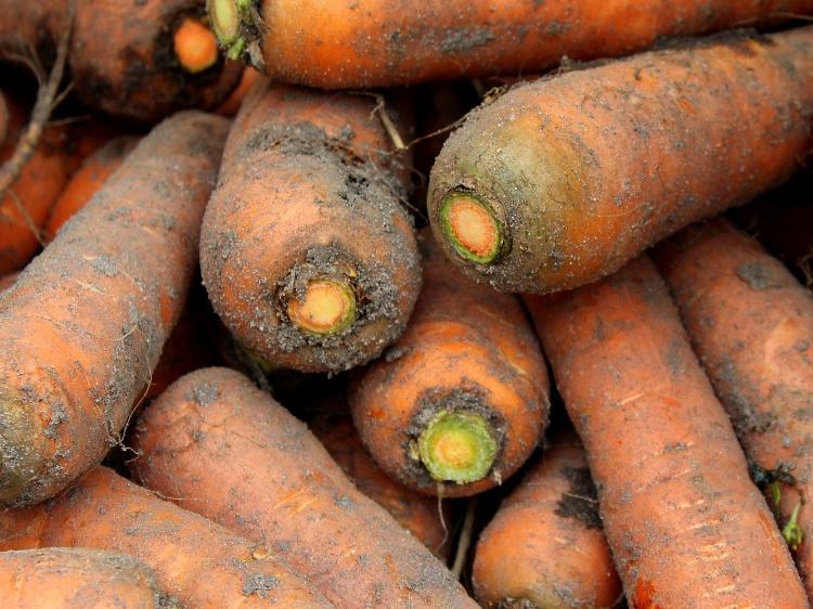 2 kg carottes - Jardin de la Molière