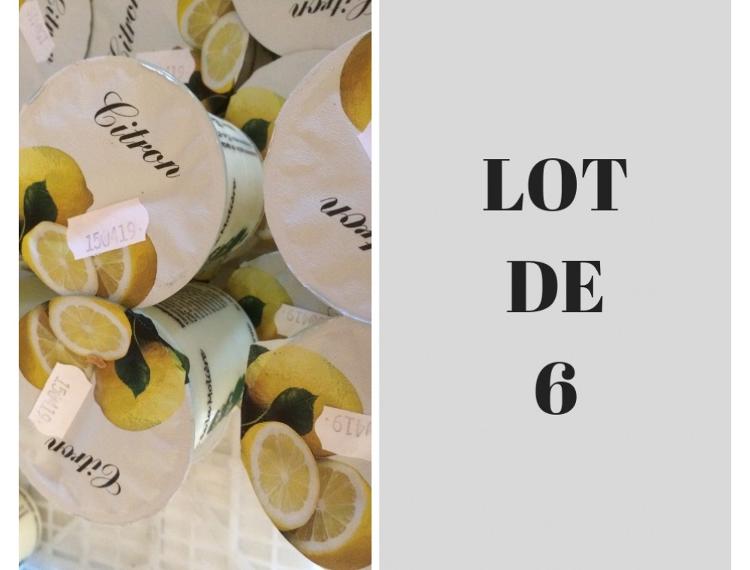 Lot de 6 yaourt citron - Jardin de la Molière-SARL Les Jardins de la Molière- retiré