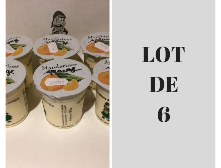 Lot de 6 yaourts Mandarine - Jardin de la Molière-SARL Les Jardins de la Molière- retiré