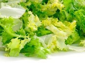 Mélange de feuilles de salade :  frisée/scarole - Jardin de la Molière
