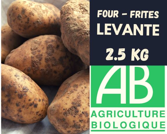 Pommes de terre BIO  LEVANTE  2.5 kg