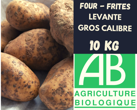 Pommes de terre LEVANTE BIO GROS CALIBRE 10 kg
