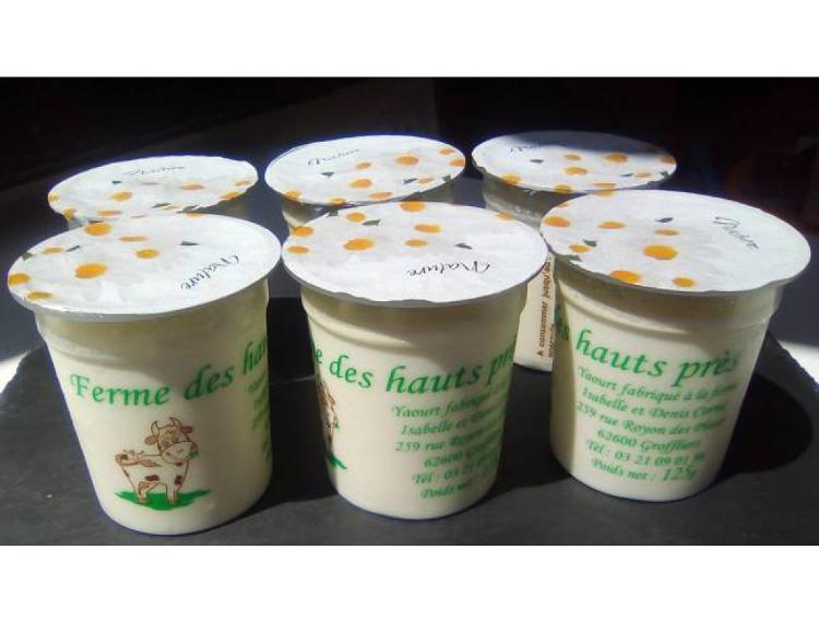 Lot de 6 pots de yaourt nature ferme des Hauts Pres