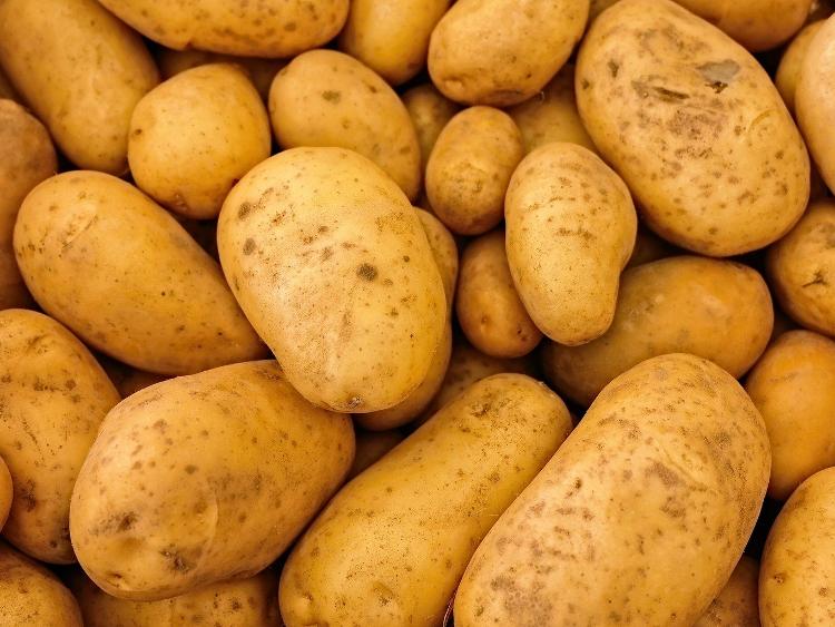 Pommes de terre nouvelles - Sirtema 2 kg-SARL Les Jardins de la Molière- retiré