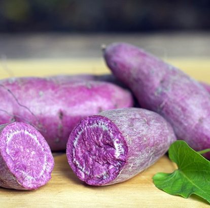 Patate douce violette