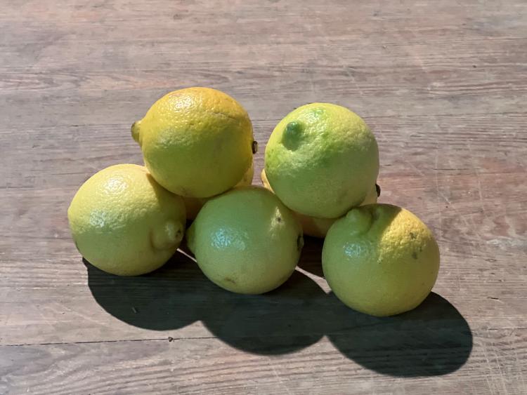Citrons