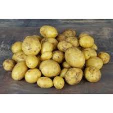 Filets 5 kg - Pommes de terre Gourmandine (chair ferme)
