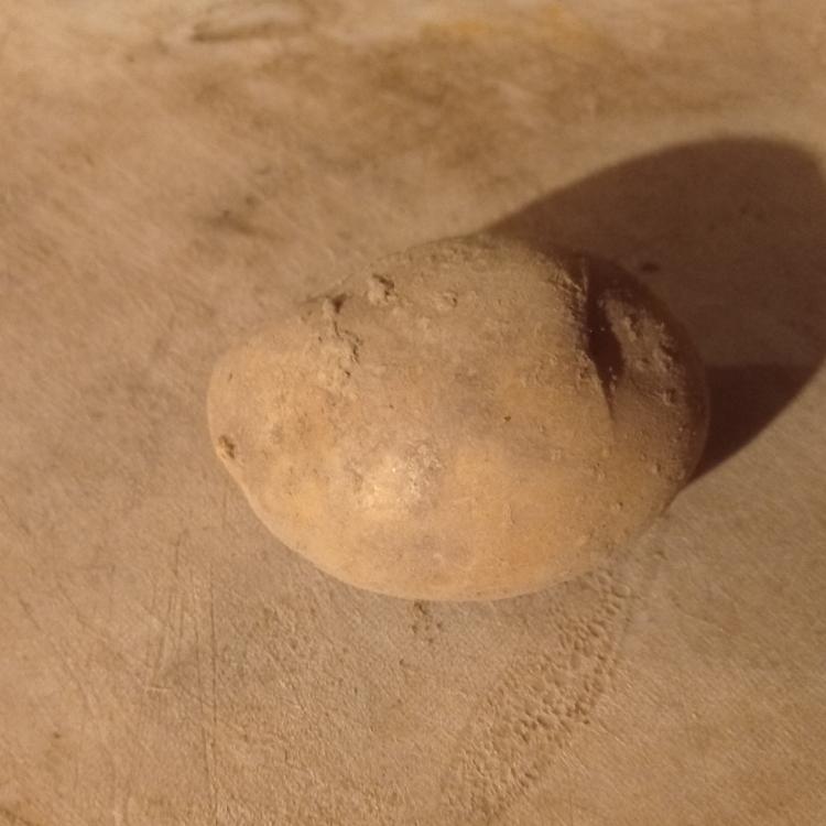 1 KG pomme de terre 'rikéa'' déclassé SARLLA FLEUR DES VERGERS ET DES JARDINS