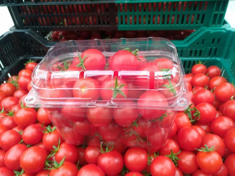 1kg tomates cerises LA TOMATE GOURMANDE-LA TOMATE GOURMANDE- retiré