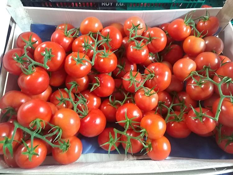 5 kg tomates grappes sans pesticide la tomate gourmande-LA TOMATE GOURMANDE- retiré