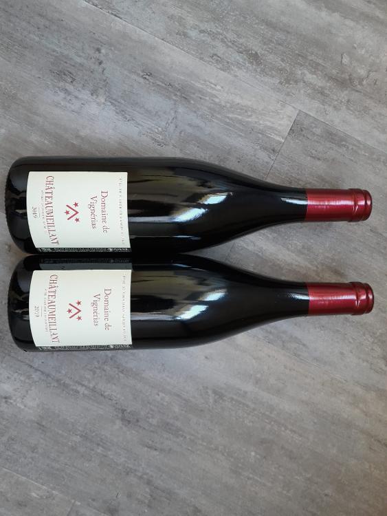 Châteaumeillant rouge 2019 - SCEV CHAZE DE VIGNERIAS MANGIN D'OUINCE - la bouteille (75cl