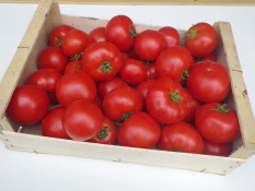 Tomates 10kg