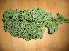 Bouquet de chou Kale