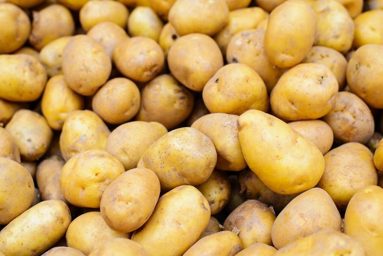 Pommes de terre Allians 2.5kg