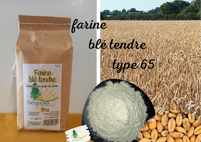 Farine de blé tendre BIO Type 00 1 kg