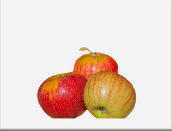 Pomme Reine des reinettes - 2kg - VERGERS DE LA MENARDIERE