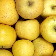 Pommes CHANTECLER vrac 5kg "bon marché"