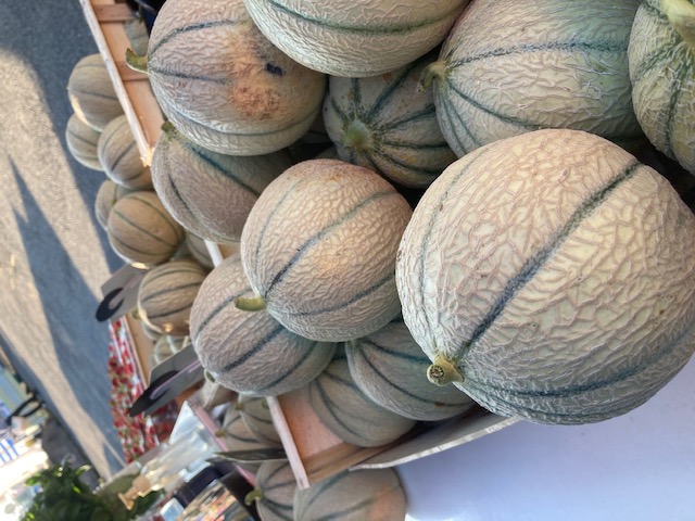 Melon 800g à 1kg