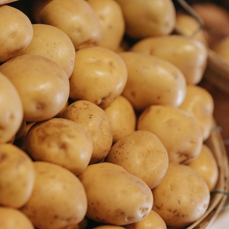 Pommes de terre variété "Agata" (10 kg)