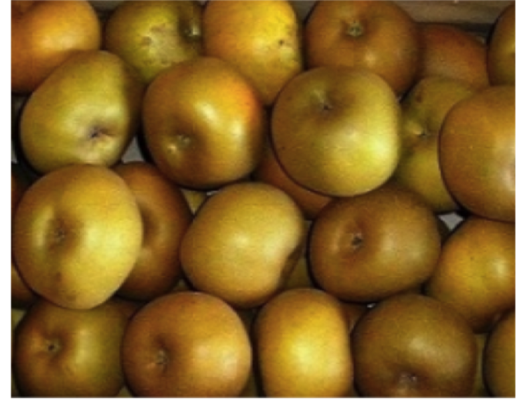 Caisse de Pommes Reinette Grise du Canada (10kg)