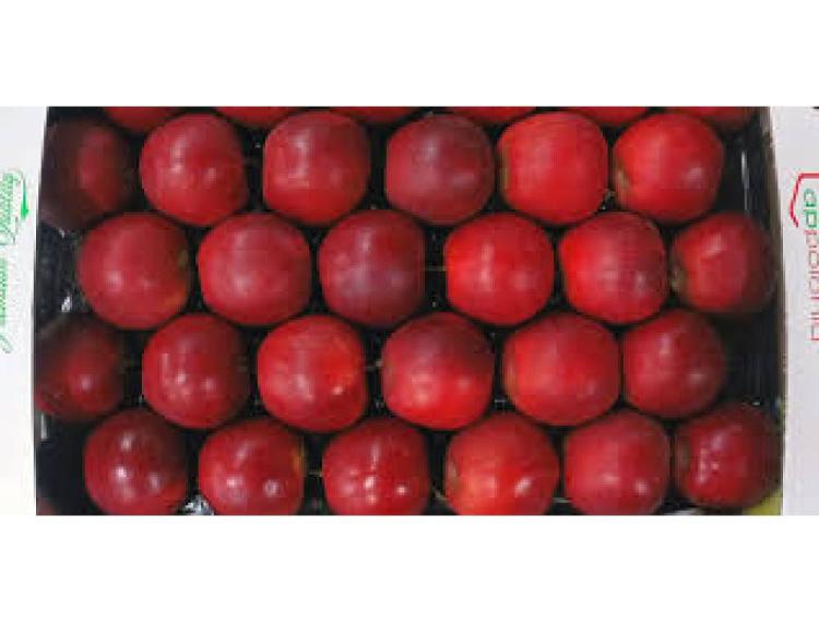 Plateau de Pommes RED-CHIEF (4.3kg)