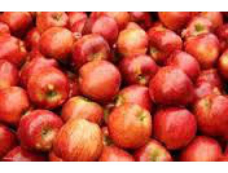 Caisse de Pommes RED-CHIEF (10kg) Catégorie 2