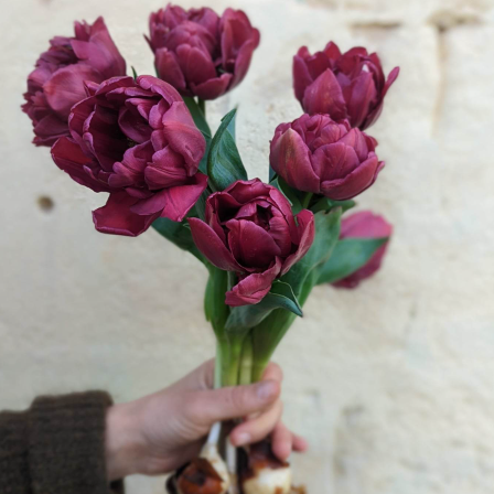 Botte de fleurs BIO - Tulipe